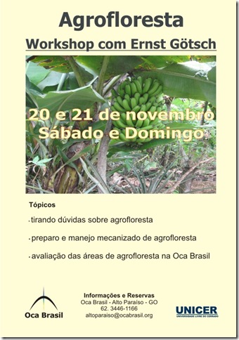 cartaz_curso_ocabrasil-nov-2010