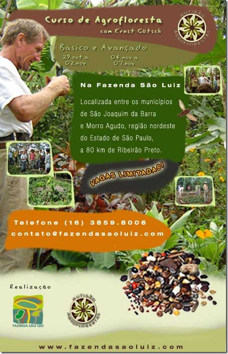 cartaz_curso_sao_luiz_nov-2010