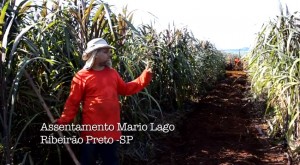 video-agroflorestar-canteiro-mecanizado