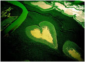 Copyright Yann Arthus Bertrand