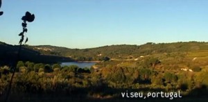 video-abundancia-ernst-gotsch