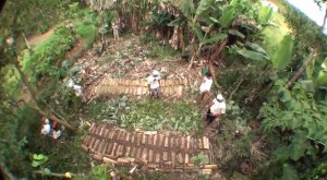 video-agroflorestar-canteiro-agroflorestal